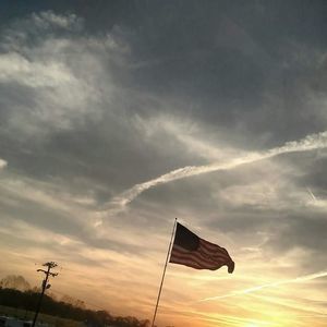 Meet your Posher, Lucy